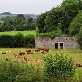 Newgrange Farm by Keith Stokes
