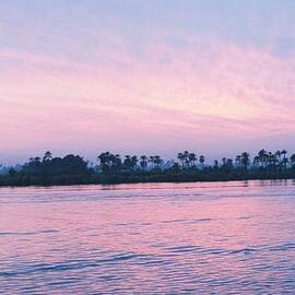 Nile Sunset by Cassandra Buckley