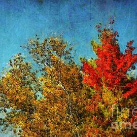 Not Only Some Other Autumn Trees - a03a by Variance Collections