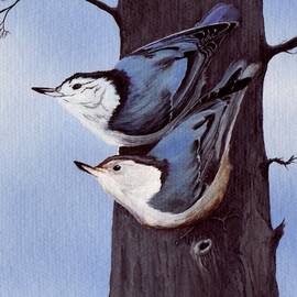 Nuthatch Pair