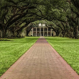 Oak Alley Plantation by Janet Fikar