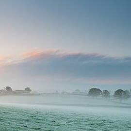 Oak Tree In Mist by Jeremy Walker