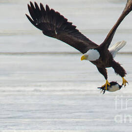 Off We Go by Jeff at JSJ Photography