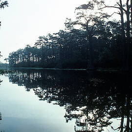 Okefenokee Swamp by Jose Azel