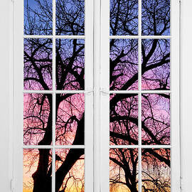 Old 16 Pane White Window Colorful Sunset Tree View  by James BO Insogna