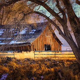 Old Barn in Sparks by Janis Knight