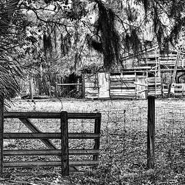 Old Chisolm Island Barn by Scott Hansen