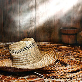 Old Farmer Hat and Rope by Olivier Le Queinec