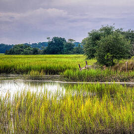 Old Fence Line at the Whale Branch by Scott Hansen