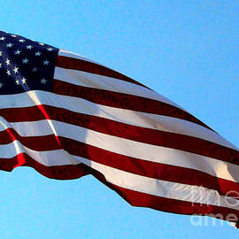 Old Glory by Kathleen Struckle