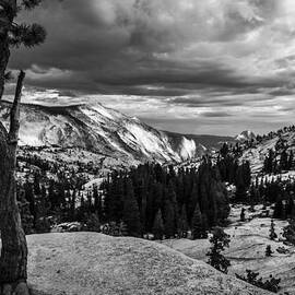 Olmstead Point by Cat Connor