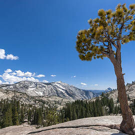 Olmsted point Yosemite by Francesco Emanuele Carucci