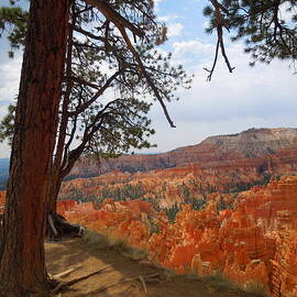 On The Edge of Bryce Canyon by Donna Jackson