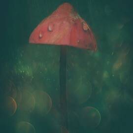 Once Upon A Time... by Delphine Devos