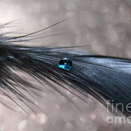 Once Upon a Time by Krissy Katsimbras