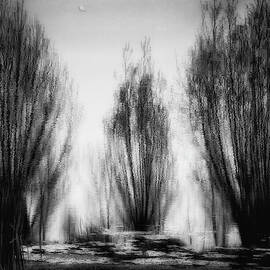 One May Day ... by Yvette Depaepe