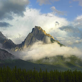 Opal Range In Fog Kananaskis Country by Tim Fitzharris