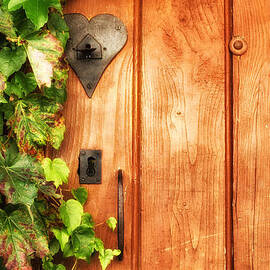 Orange Door with Green Ivy by Georgia Clare