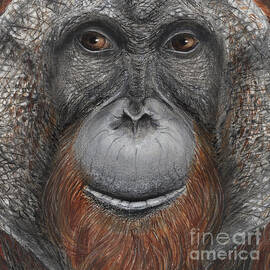 Өгей әкеммен жыныстық қатынас, біз бірге өте қызықты видео