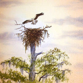 Osprey Approaching Nest by Bill Holkham