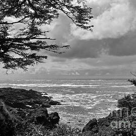 Pacific Coast of Canada by Inge Riis McDonald