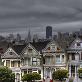 Painted Ladies ready for the rain by David Bearden