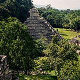Palenque from the Jungle Panorama Unframed