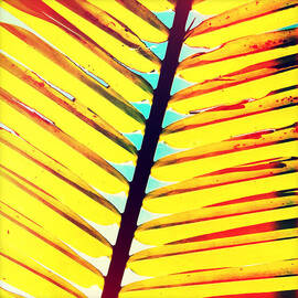 Palm by Chris Andruskiewicz