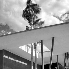 THE SHELTERING SKY Palm Springs CA by William Dey