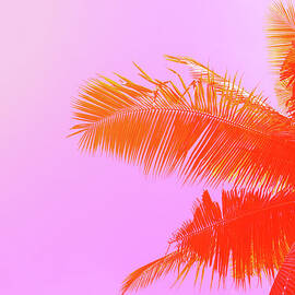 Palm Tree On Sky Background. Palm Leaf by Slavadubrovin