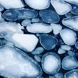 Pancake Ice by Science Photo Library