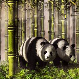 Pandas in a Bamboo Forest by Daniel Eskridge