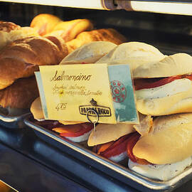 Pappalecco Salmoncino by Tanya Harrison