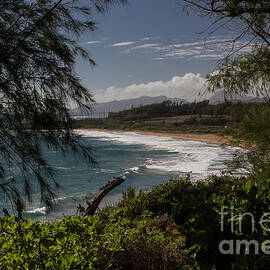 Paradise Below by Suzanne Luft
