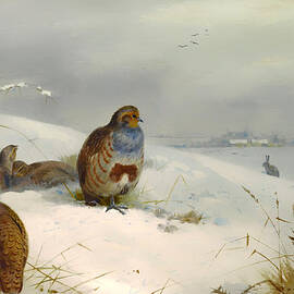 Partridges and a Hare in Winter by Mountain Dreams
