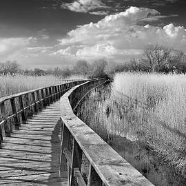 Pasarelas by Guido Montanes Castillo