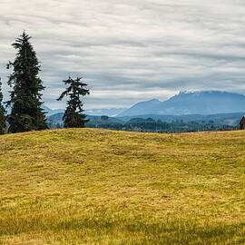 Pasture and Barn