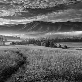 Path to the Mountains by Andrew Soundarajan