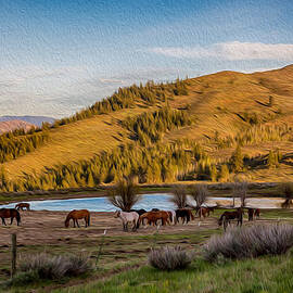 Patterson Mountain Afternoon View