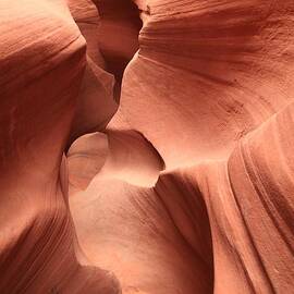 Peekaboo Twist by Adam Jewell