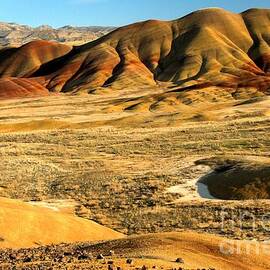 Perfecty Painted by Adam Jewell