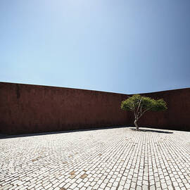 Perspective View On Square With Tree by Stanislaw Pytel