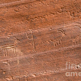 Petroglyphs by Richard and Ellen Thane