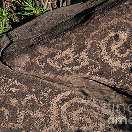 Petroglyphs, Saguaro National Park by Mark Newman