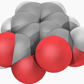 Phthalic Acid Molecule