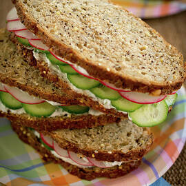 Picnic Sandwiches by Katya Lyukum