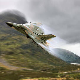 Pig low and fast by Peter Van Stigt