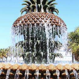 Pineapple Water Fountain In Charleston by Noderog