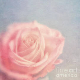 pink moments I by Priska Wettstein