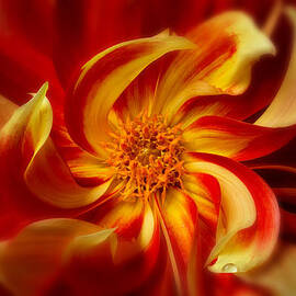 Pinwheel by Mary Jo Allen